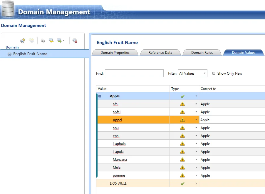 Source Data Cleaning In SSIS Using DQS 11 "Capture"