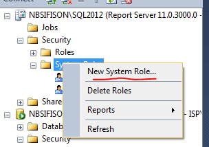 "new_sys_role"